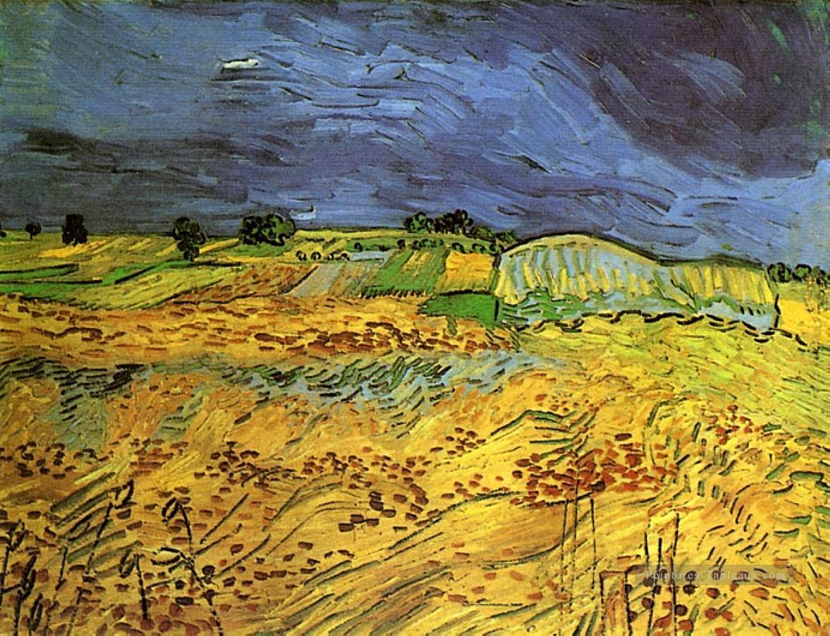 Les champs Vincent van Gogh Peintures à l'huile